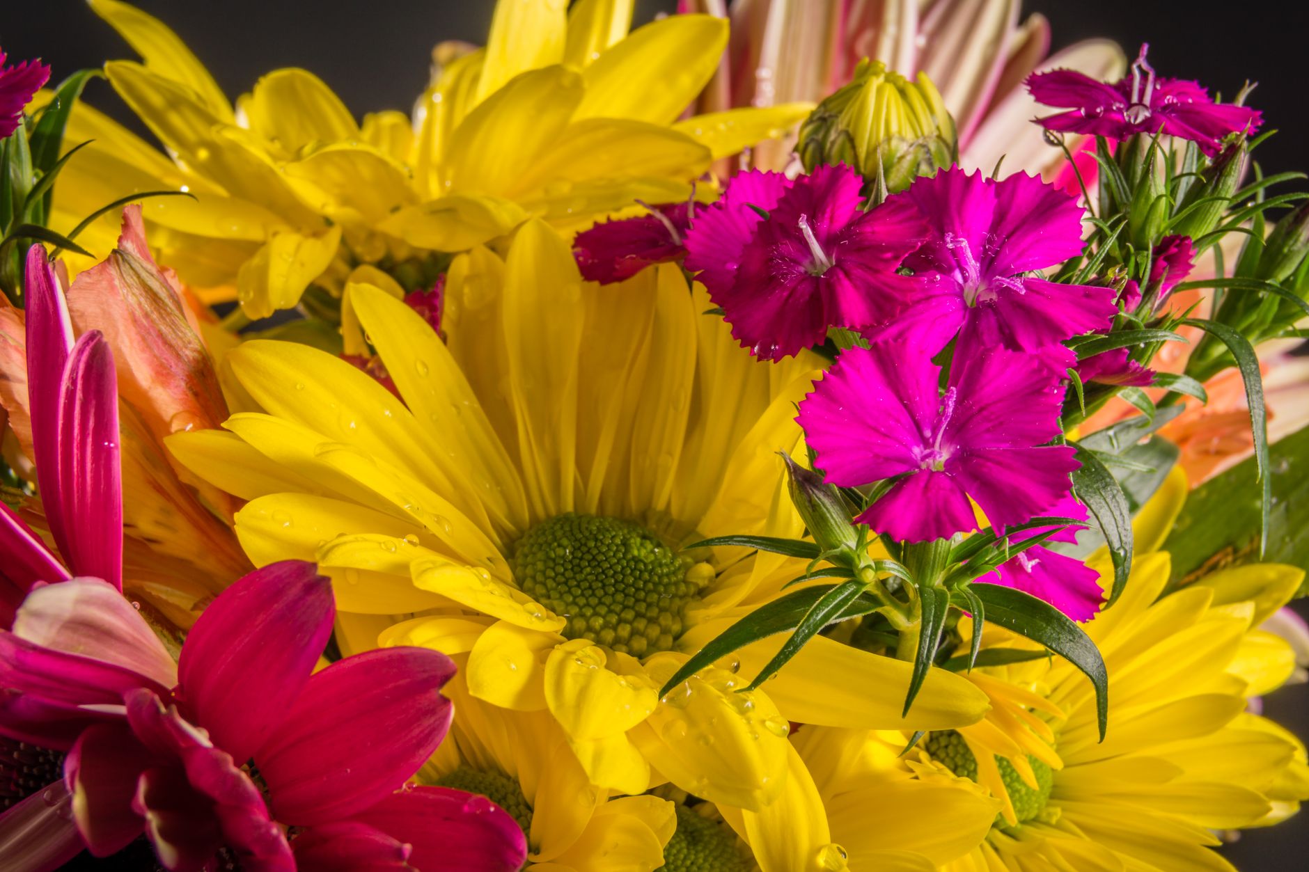 Close-up of a vibrant bouquet with yellow daisies and pink flowers, showcasing fresh blooms and water droplets.
